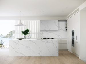 a kitchen with marble countertop and a plant