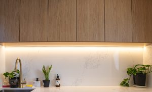 a kitchen counter with a plant on it