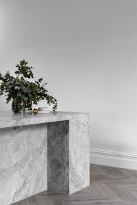 a plant on a marble counter