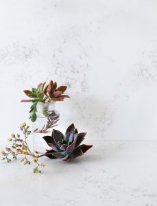 Carrara Gold 8150  MinQ Zero Slab Polished Talostone - Image 3